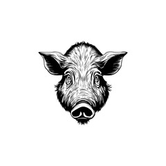 Black and White Wild Boar Illustration. Vector illustration.