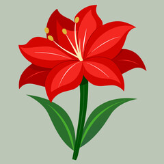 Amaryllis Flower Vector Illustration - High-Quality Floral Art Design