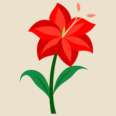 Amaryllis Flower Vector Illustration - High-Quality Floral Art Design