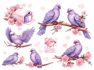 Watercolor valentines day love pigeon couple, hand drawn watercolor illustration for greeting card or invitation design