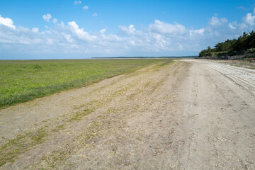 the nature reserve of La Maye in northern France
