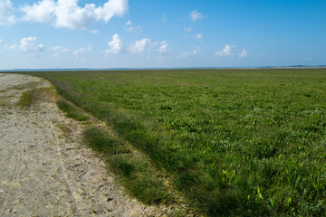the nature reserve of La Maye in northern France