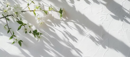 Natural blurred shadow of summer flowers on white table creates aesthetic product presentation backdrop with top view and copy space.