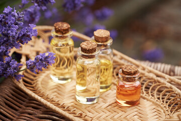 Bottles of aromatherapy essential oil with lavender flowers growing outdoors