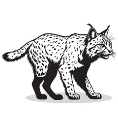 Bobcat silhouettes and icons. Black flat color simple elegant white background Manatee animal vector and illustration.