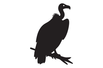 A vulture sitting and thinking