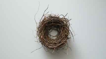 Aerial view of a bird s nest on a white surface
