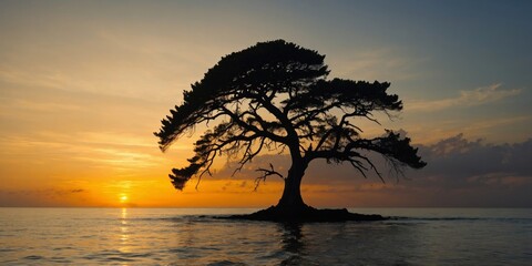 A solitary tree with a dramatic silhouette against the backdrop of a colorful sunset and calm ocean