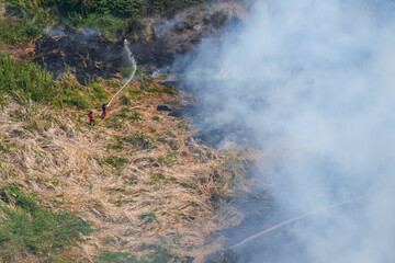 Large scale fire of dry grass near the forest, extinguished with gifts through the hose of a fire...