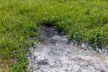 part of the burned grass during the illegal burning of a tire