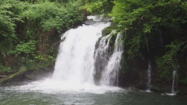A waterfall is flowing into a river. The water is clear and the trees are lush. The scene is peaceful and serene