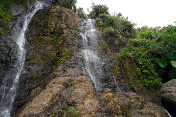 Fototapeta premium A waterfall with a lush green forest in the background. The water is flowing down the rocks and the trees are growing on the side of the cliff