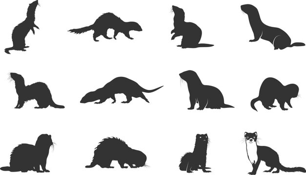 Ferret silhouette, Ferret svg, Weasel svg, Animal svg, Weasel svg, Ferret Bundle, Weasel silhouette, Ferret animal vector set.