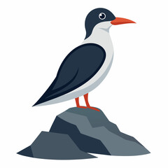 vector perched seabird on rocky outcrop on white background