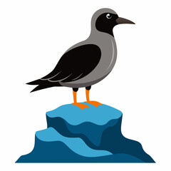 vector perched seabird on rocky outcrop on white background