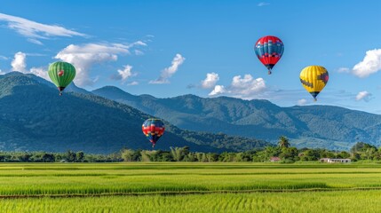 Fototapeta premium colorful hot air balloons soaring over lush green rice fields in mountainous terrain, set against a backdrop of a blue sky adorned with fluffy clouds, symbolizing adventure and travel.