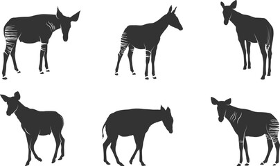 Okapi animal silhouettes, Okapi svg, Okapi silhouettes, Okapi animal svg, Okapi clipart, Okapi animal vector illustration.
