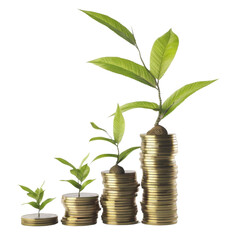 Money Tree Sprouting from Coins - Symbolic Savings Growth in 3D Illustration