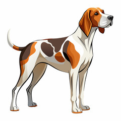 american english coonhound on white full silhouette illustration