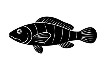 wrasse fish silhouette vector illustration