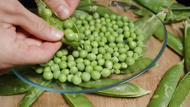 Everywhere, cleaned green pea pods close-up of a male hands cleaning peas into a plate.