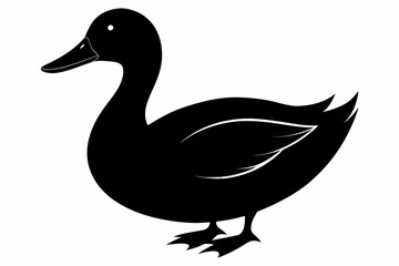 Duck silhouette,  icon