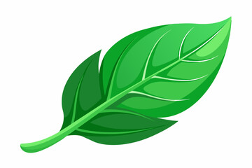 green leaf vector
