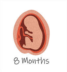 Gestational fetal development. Embryonic lunar stage growth month to month The lunar cycle from 1 to 9 months until birth. Medical infographic elements isolated on white background.	