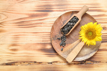 Beautiful sunflower and scoop with seeds on wooden background