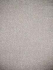 Polkadot Texture