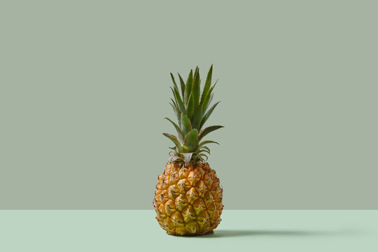 Fresh ripe pineapple isolated over duotone studio background