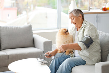 Senior woman with Pomeranian dog measuring blood pressure on sofa at home