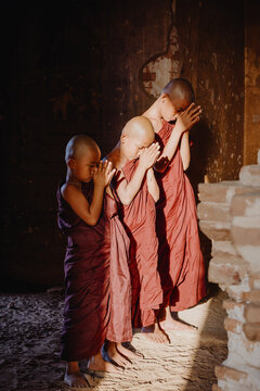 Novice monks praying in temple