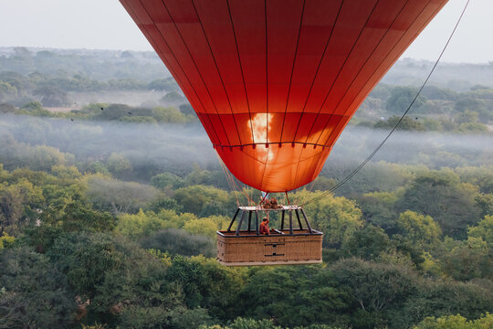 Fototapeta Close-Up of Hot Air Balloon Over Forest