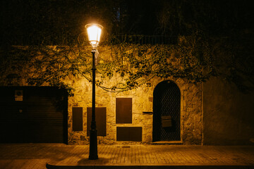 Nighttime Street Light Over Cobblestone Path