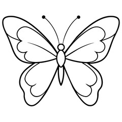 Butterfly line art vector illustration