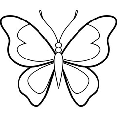 Butterfly line art vector illustration