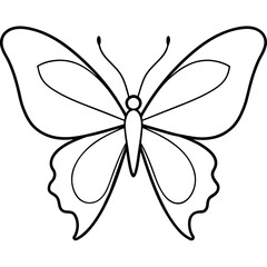 Butterfly line art vector illustration