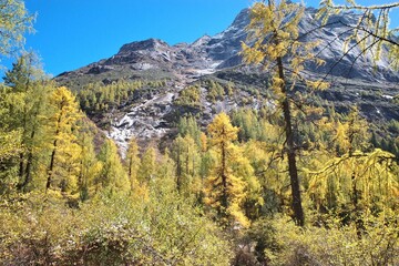 The Autumn in Siguniang Mountain at west of the capital city of Chengdu in Xiaojin country ,Sichuan ,China