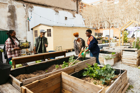 Group of volunteers working in community garden