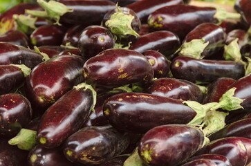 Brazilian eggplants seen up close. Selective focus.