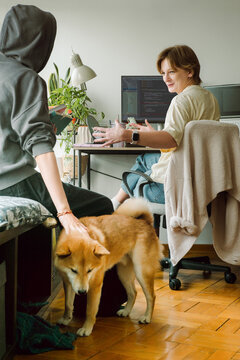 Young woman strokes her dog while talking to her friend in the office
