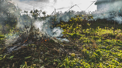Winter bonfire to burn the remains generated by the care of a garden