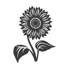 Fototapeta premium Black and white sunflower Beautiful sunflower flowers. Vector illustration