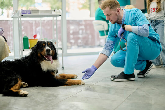 A young veterinarian wants to shake the paw of a lying dog