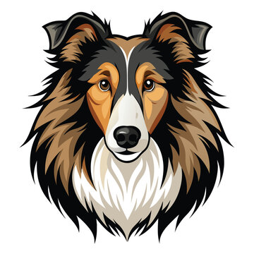 Detailed Vector Portrait of a Collie Dog's Head with Rich Colors and Intricate Fur Patterns