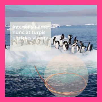 Framed Square Media Text 1080 Slideshow 4