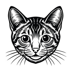 Detailed vector illustration of an American Shorthair cat head, featuring intricate black and white line art with expressive eyes and detailed fur, perfect for design projects