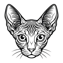 Vector Illustration of Devon Rex Cat Head Portrait - Detailed Line Art of Unique Cat Breed with Big Ears and Expressive Eyes, Perfect for Tattoo, Sticker, and Design Projects