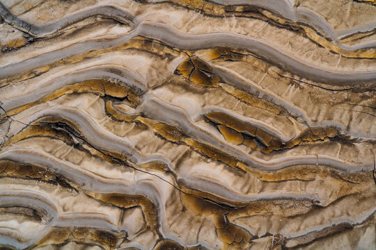 Cracks in Mud in New Mexico, United States